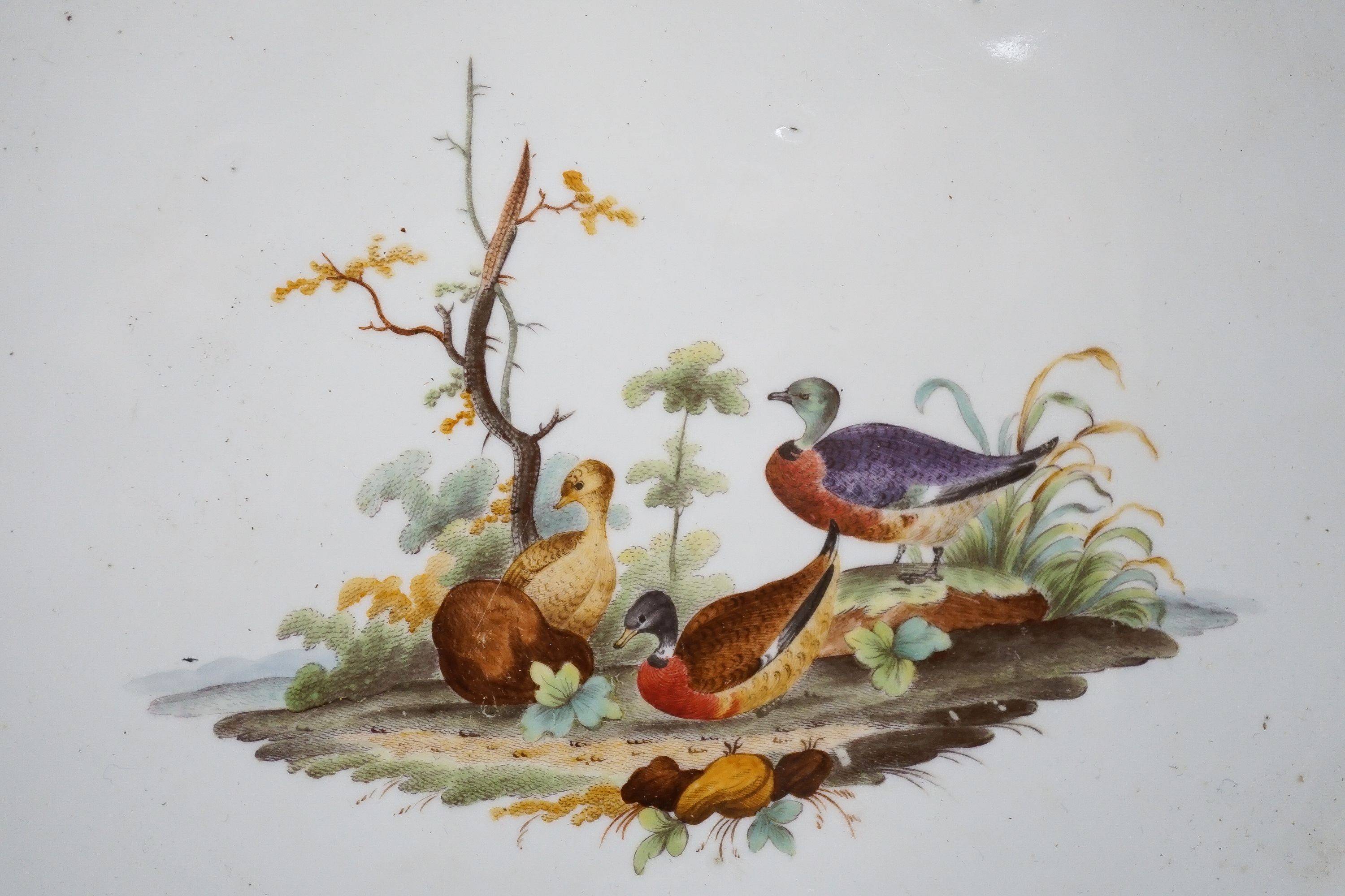 An 18th century Furstenberg bird painted porcelain dish 34cm